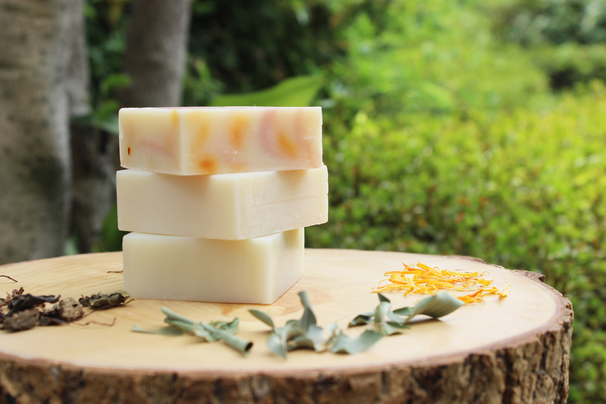 「PET GRAND ASHIYA（ペットグラン芦屋）