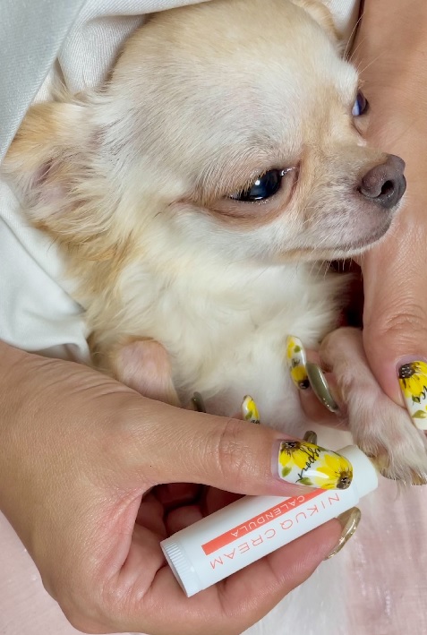 NIKUQ CERAM【無香料】