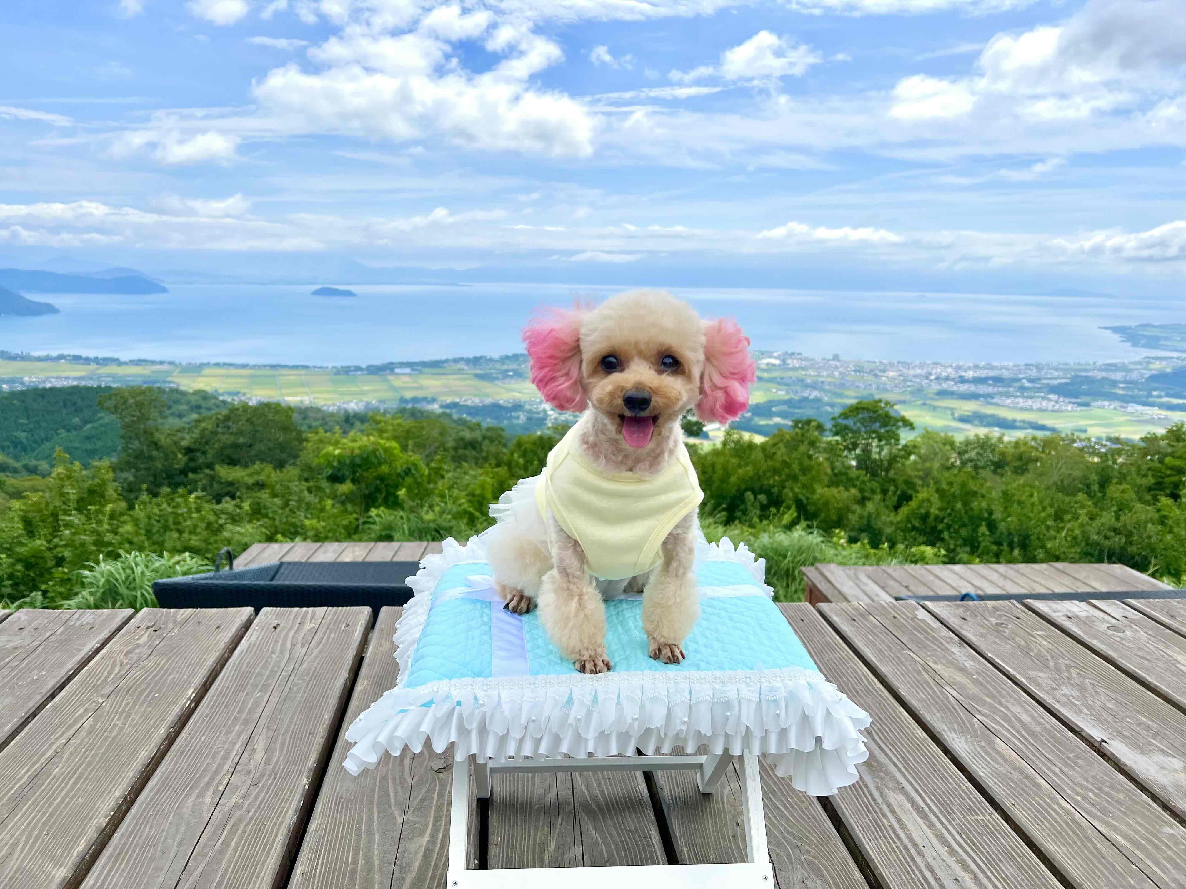 びわ湖のみえる丘