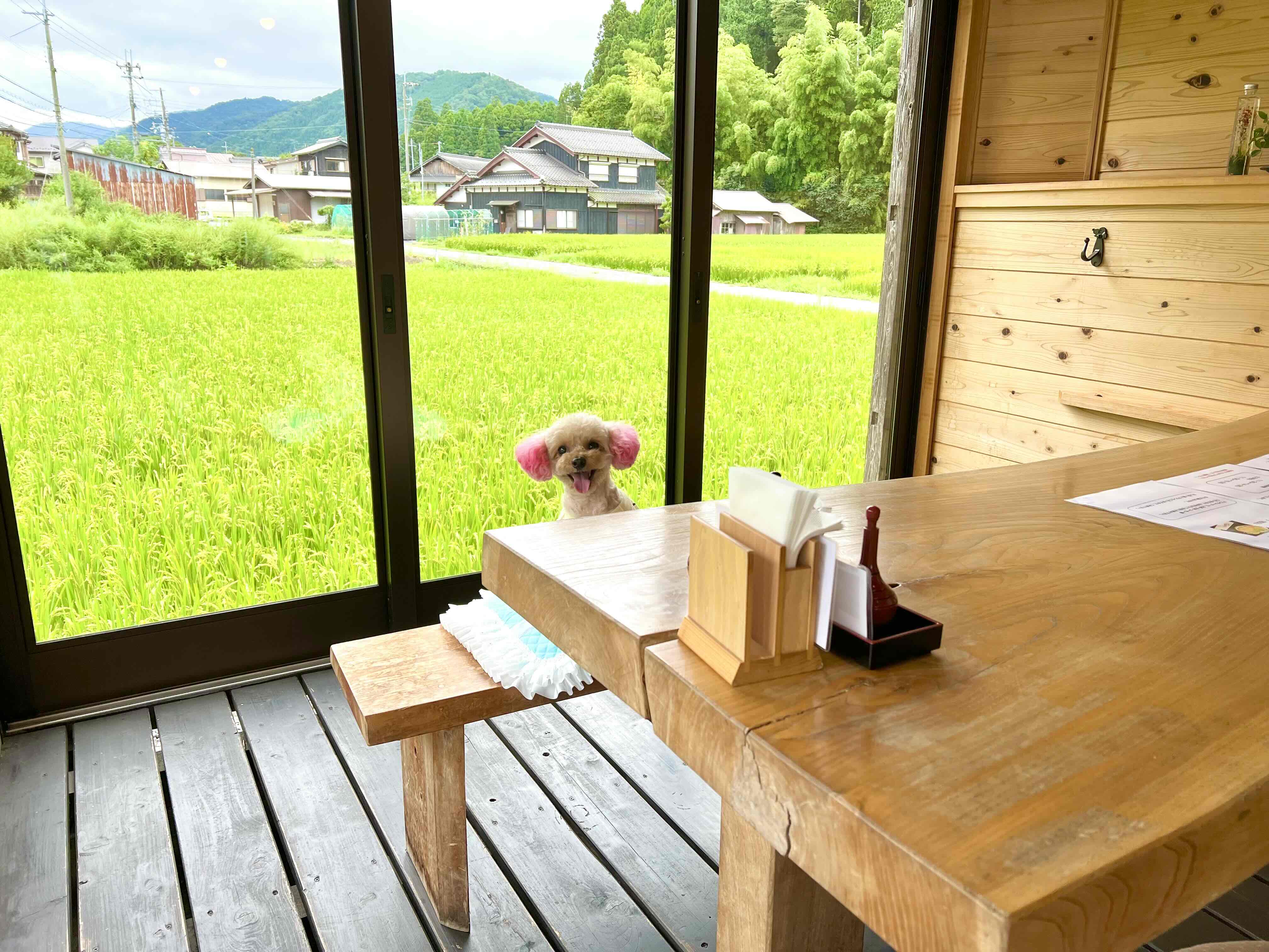 朽木旭屋