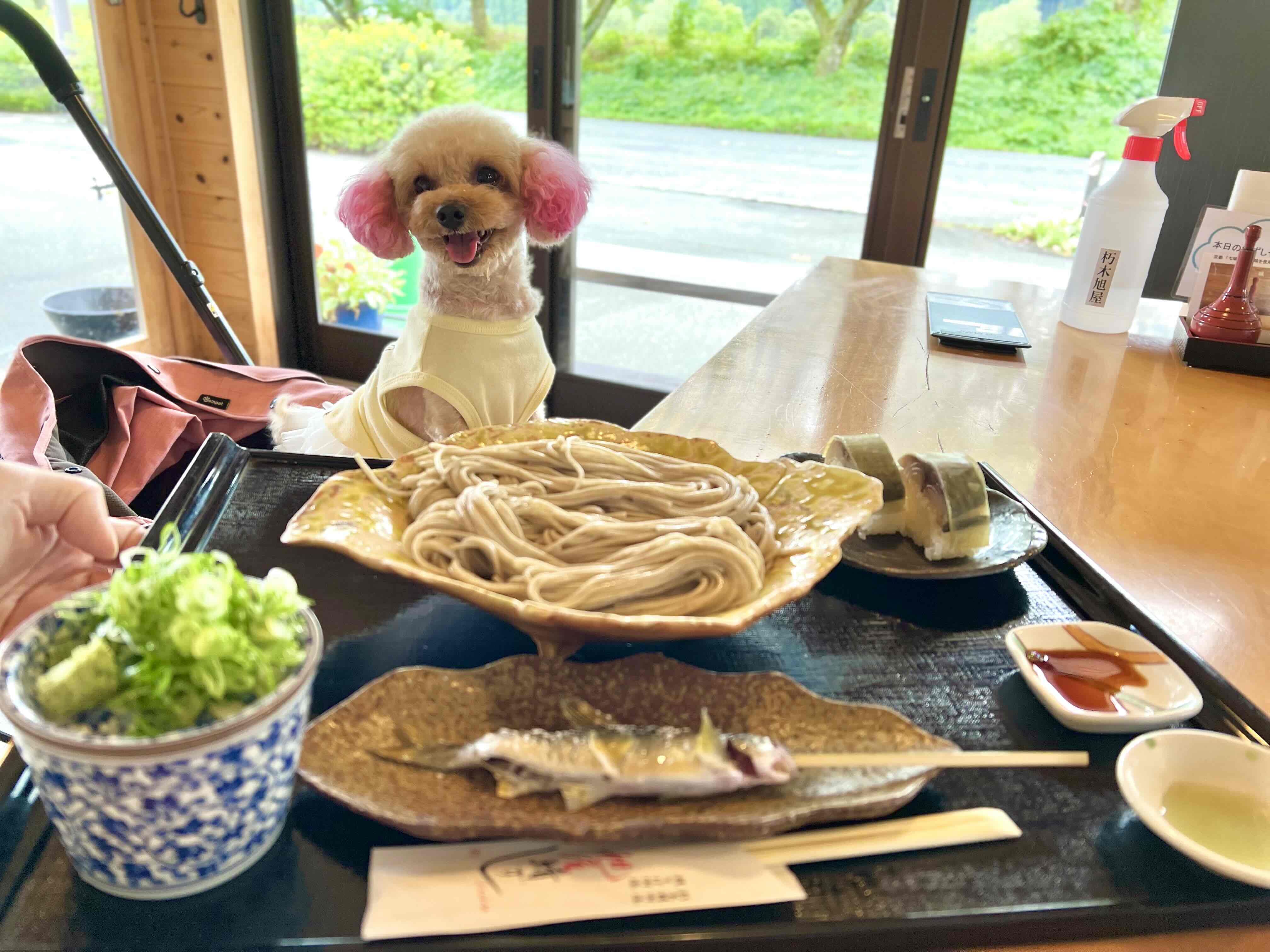 朽木旭屋