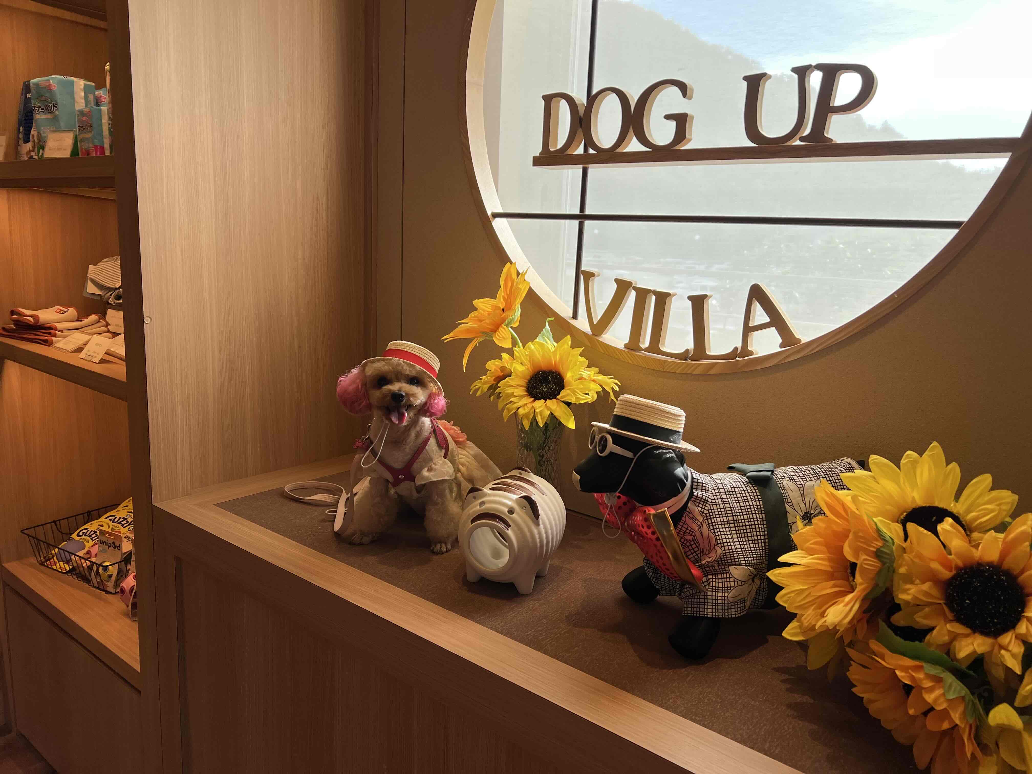 わんちゃん専用施設「dog up villa」