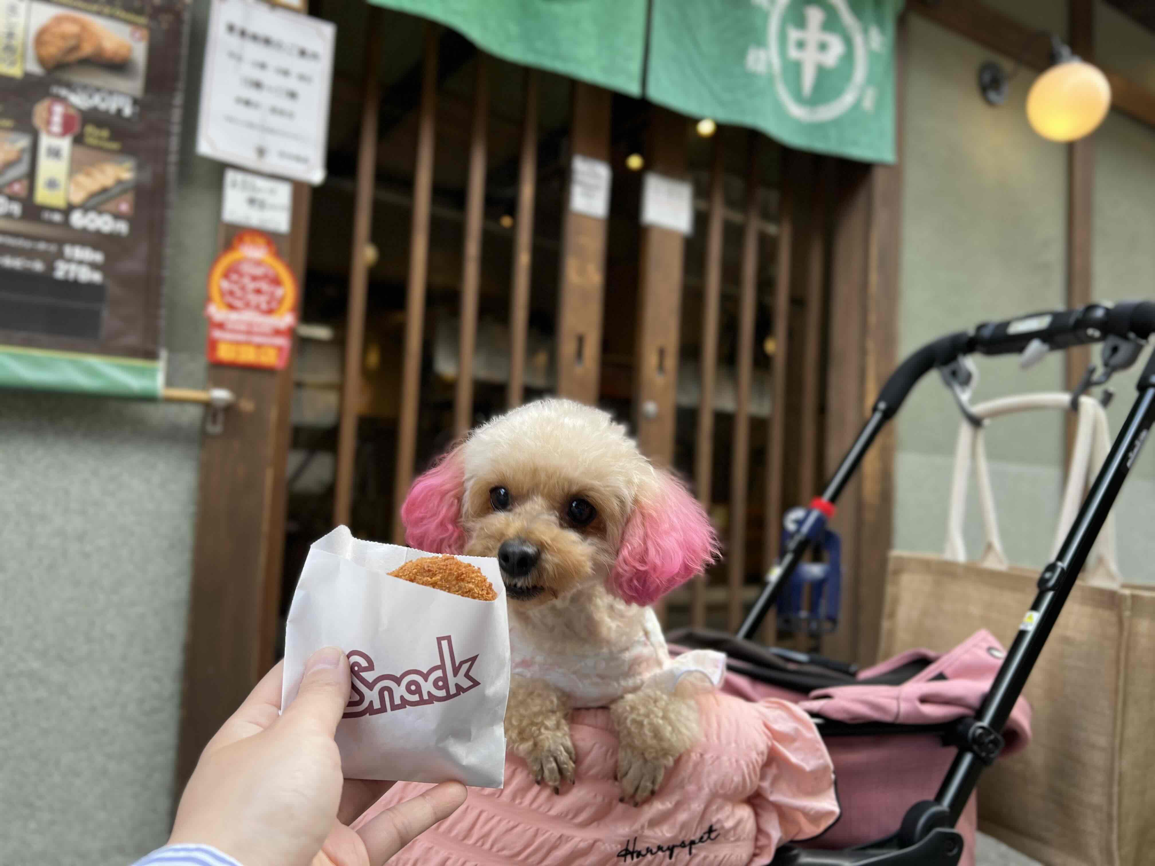 竹中肉店のコロッケ