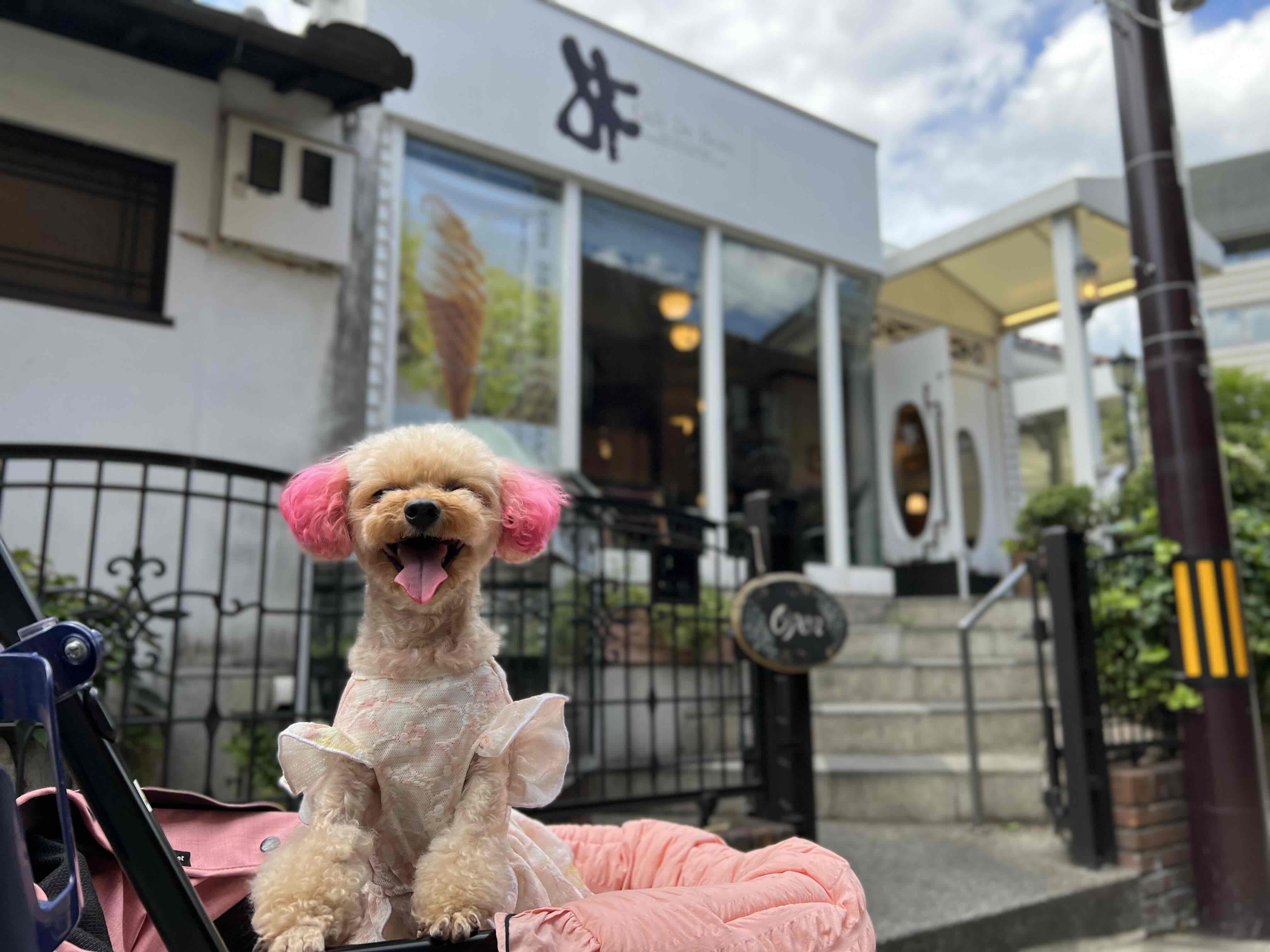 café du 坊