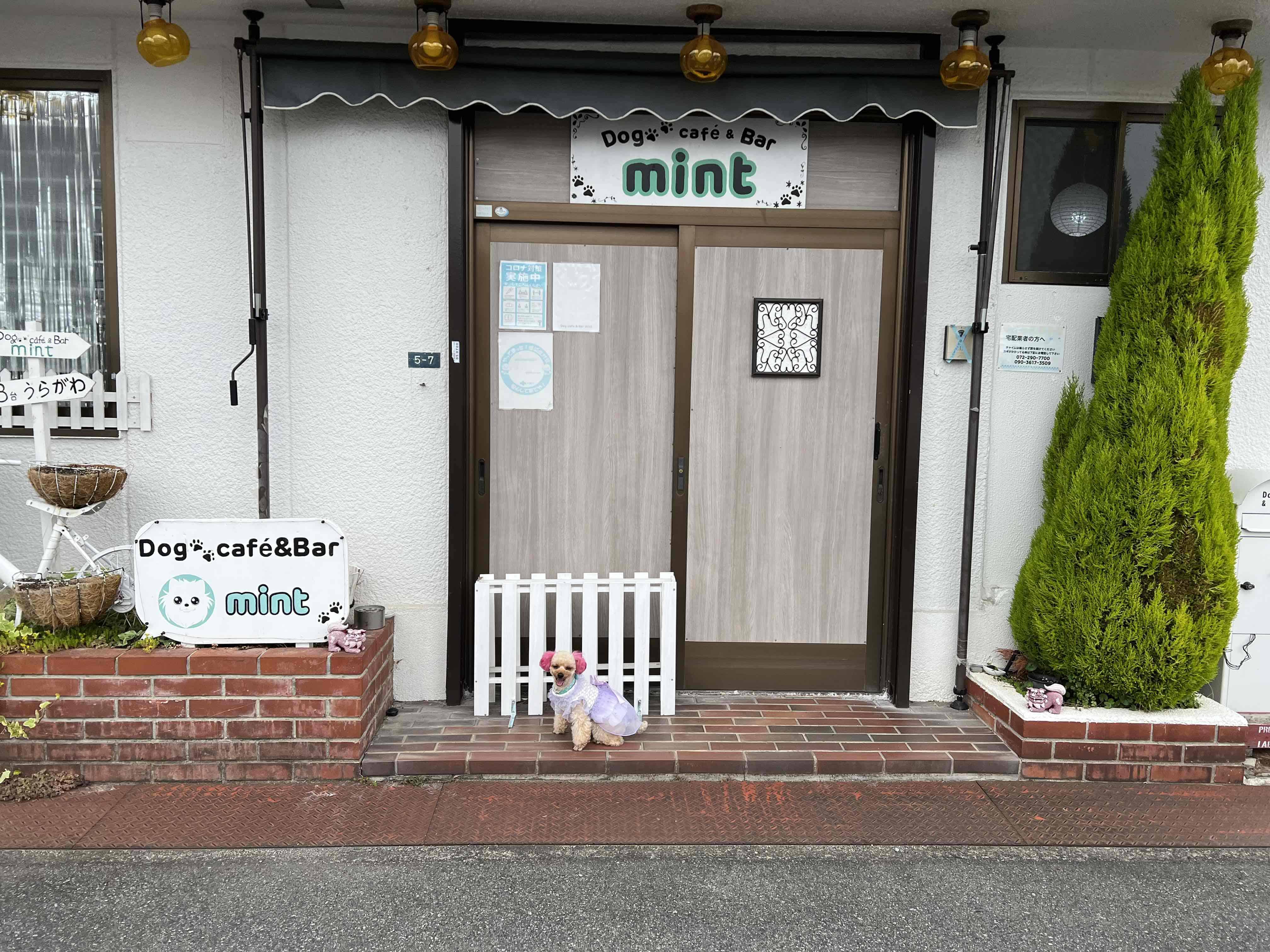dogcafe & Bar mint(ミント)