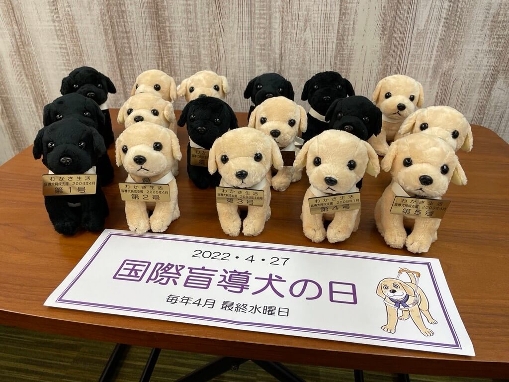 盲導犬育成